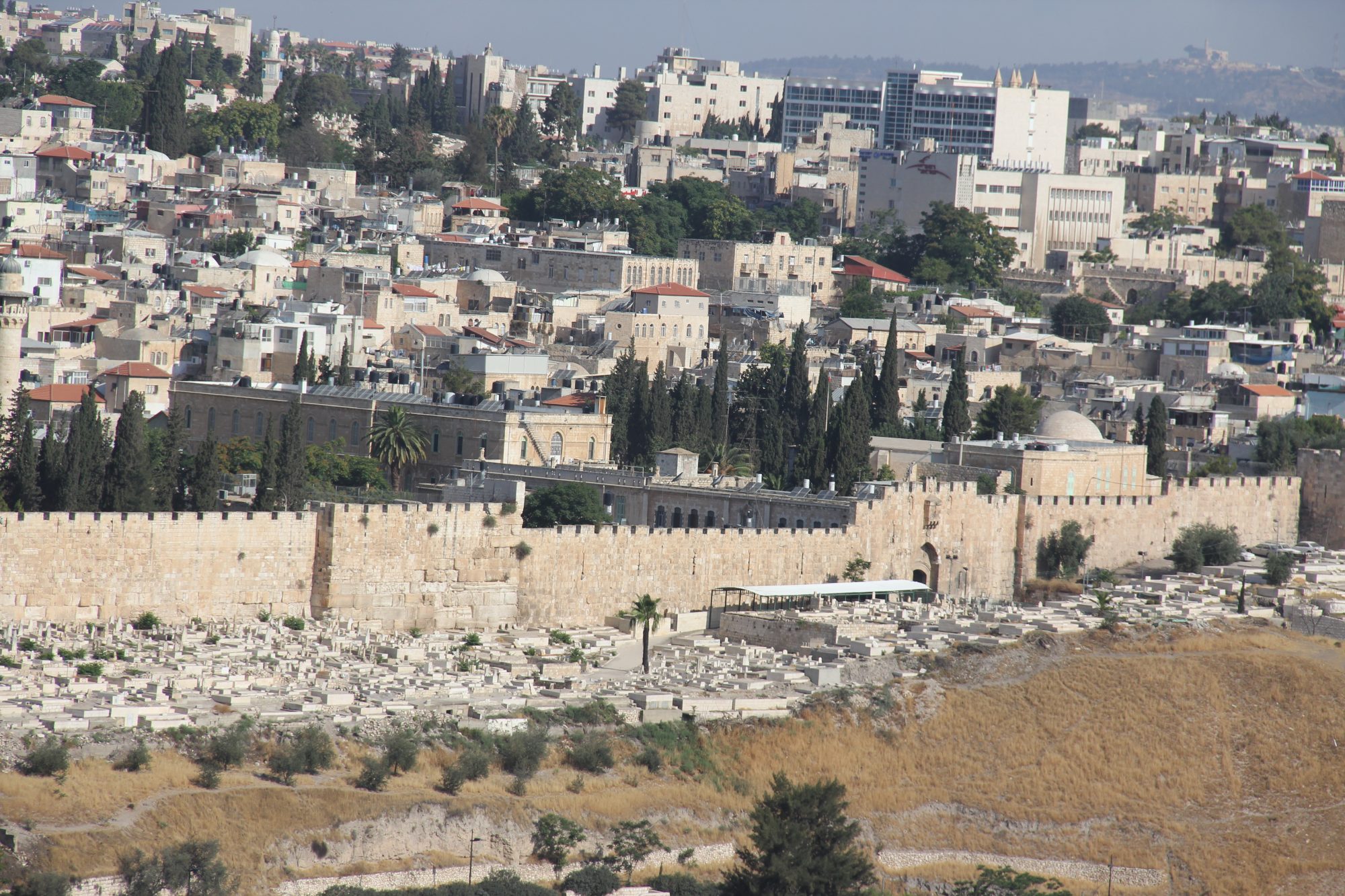 Mount of Olives 14